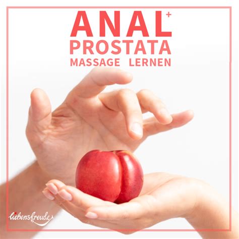 Prostatamassage Sexuelle Massage Hofstade