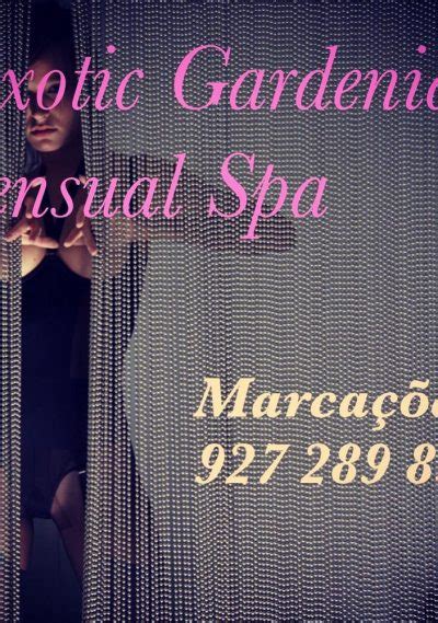 Erotic massage Porto Vecchio