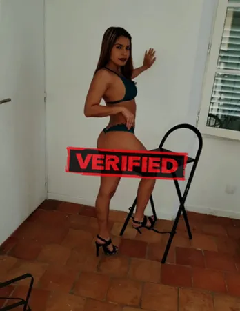 Vanessa sexmachine Prostituta Chaves